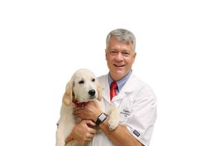 veterinarian