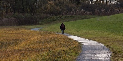 Take a Hike